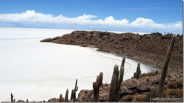 Isla-del-Pescado-Bolivia