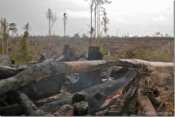 Kalimantan-Indonesia-Karmele