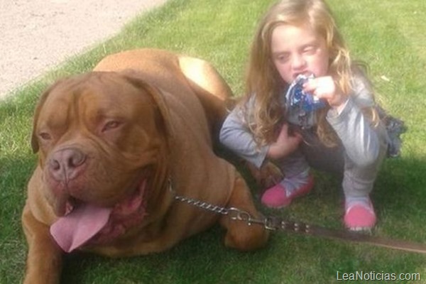 Niña y perro