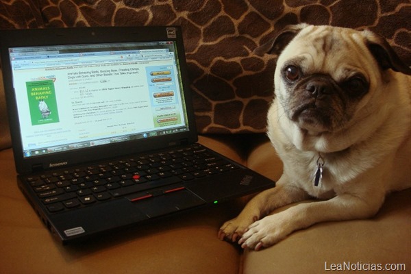 Cyber Monday Cyber Monday