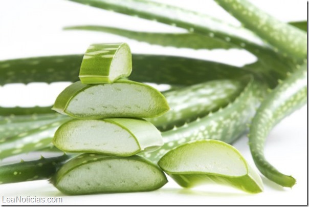 aloevera