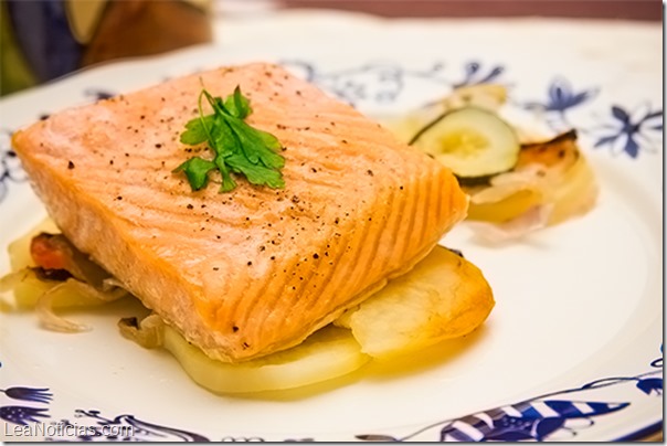 salmon