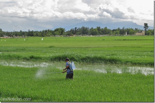 agricultor cancer