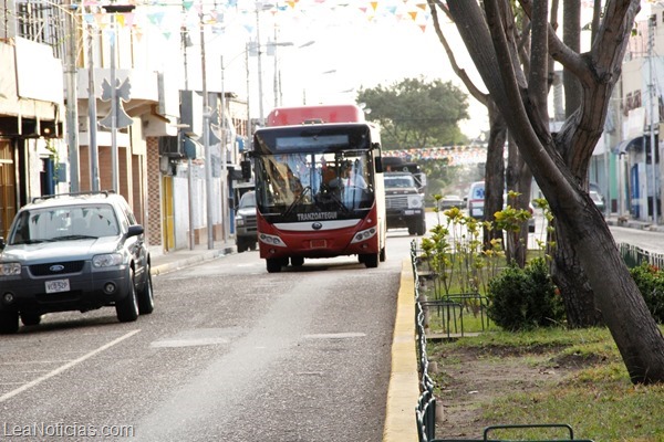 buses traslado