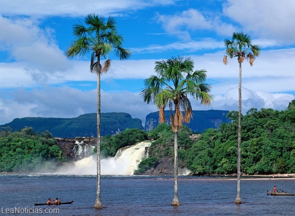 canaima