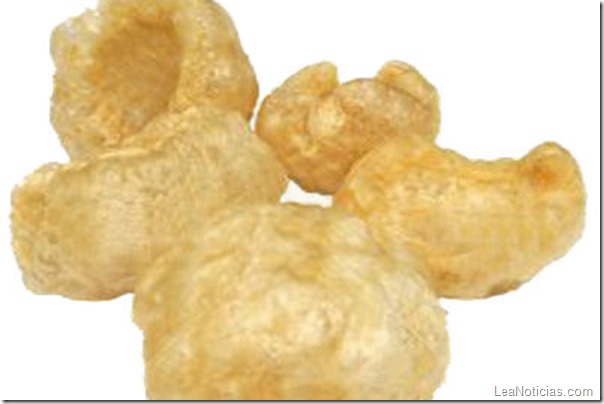 chicharron