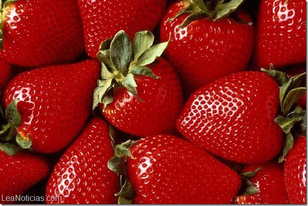 fresas