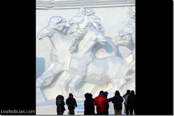 hielo 21 hielo 21