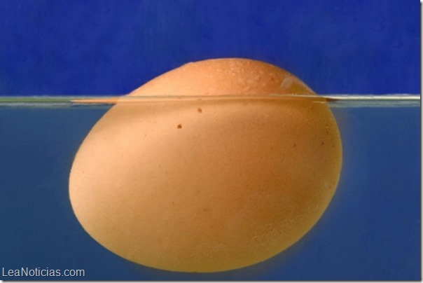 huevo flotante