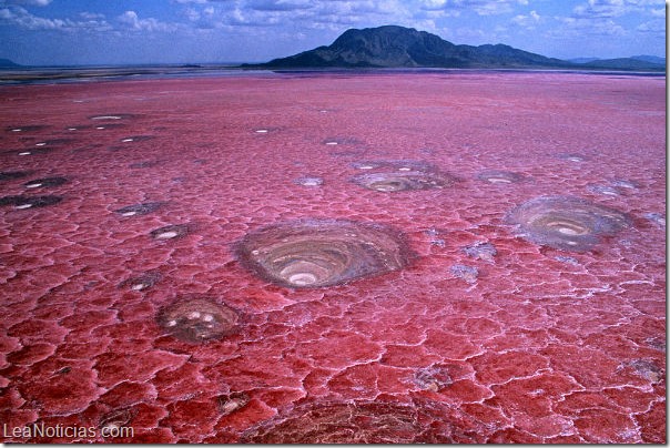 lago natron 2