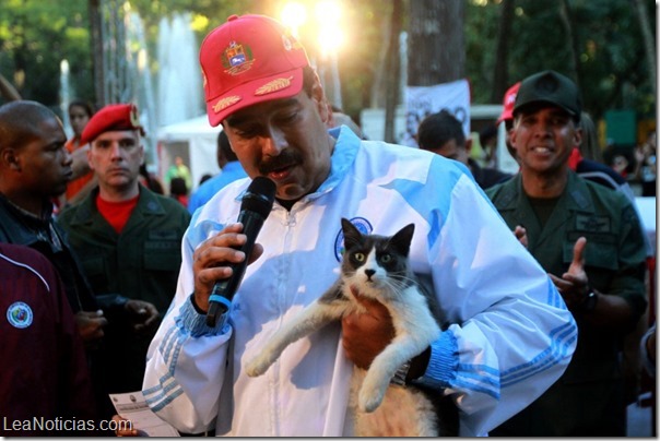 maduro y el gato