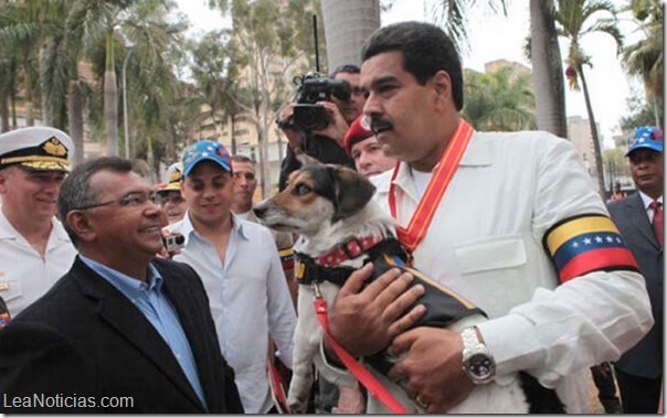 maduro y nevado