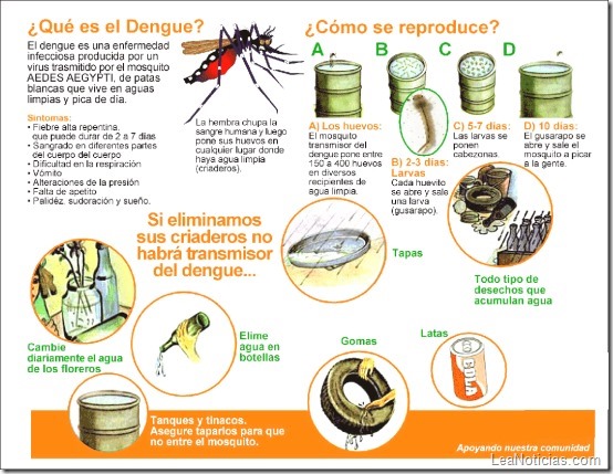 dengue 1