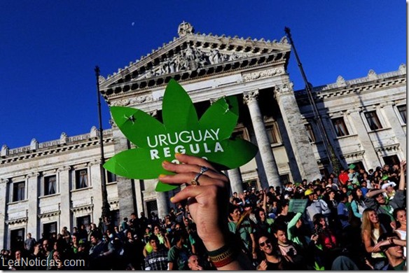 (FILES) People take part in a demo for the legalization of marijuana in front of the Legislative Palace in Montevideo, on December 10, 2013, as the Senate discuss a law on the legalization of marijuana's cultivation and consumption. Uruguay’s parliament is to vote Tuesday a project that would make the country the first to legalize marijuana, an experiment that seeks to confront drug trafficking.   AFP PHOTO/ Pablo PORCIUNCULA
