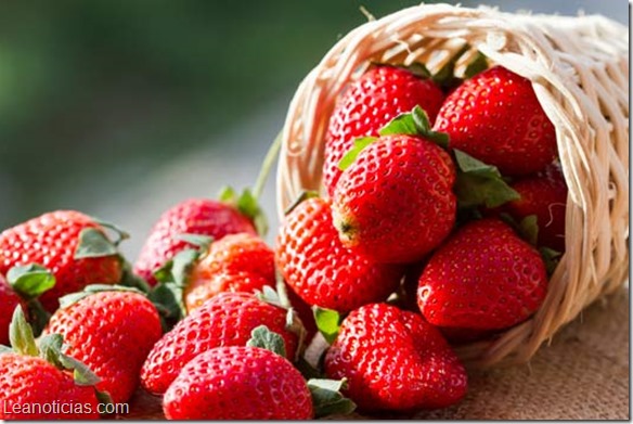 fresas