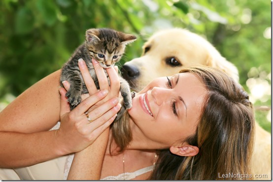 perros gatos dueños