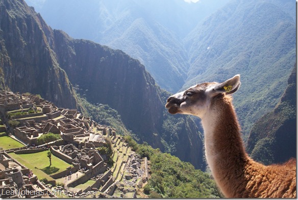 machu pichu peru 4