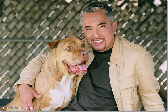 cesar millan