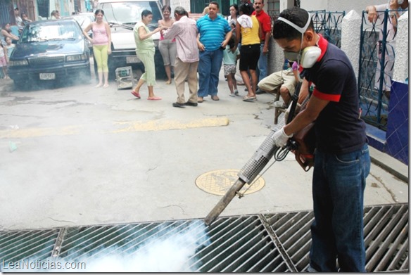 fumigacion8