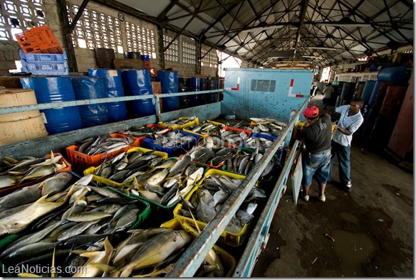 pesca panama