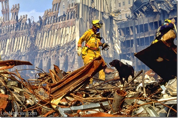 recuerda-los-heroes-caninos-de-busqueda-y-rescate-que-sirvieron-durante-la-tragedia-del-11-9 05