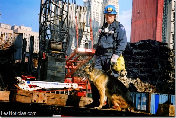 recuerda-los-heroes-caninos-de-busqueda-y-rescate-que-sirvieron-durante-la-tragedia-del-11-9 04