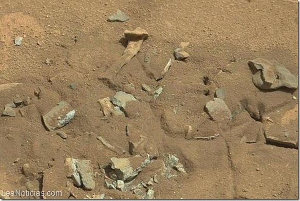 Mars-fossil-thigh-femur--644x362
