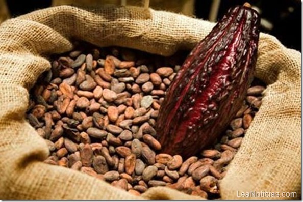 el-mejor-cacao-venezuela