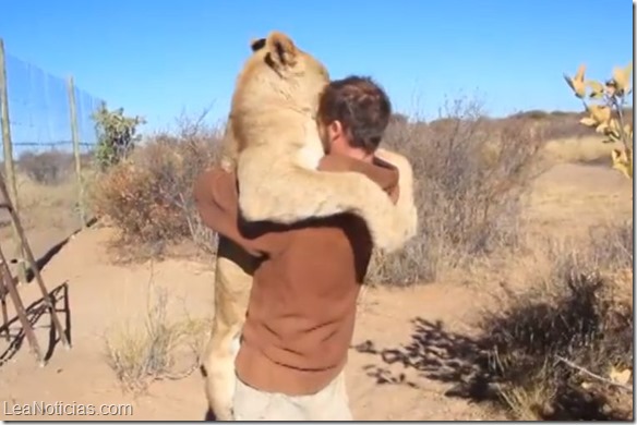 video hombre leon abrazados