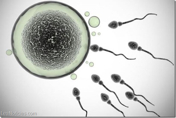 5-curiosos-datos-sobre-el-esperma-que-te-sorprenderan-1