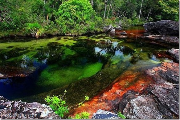 Arcoiris-liquido-el-rio-Cano-Cristales-000