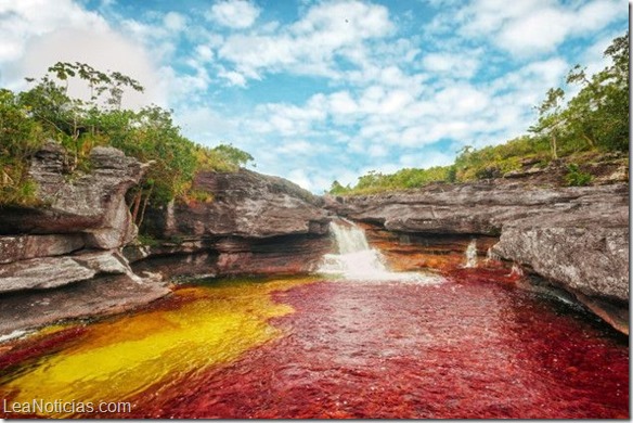 Arcoiris-liquido-el-rio-Cano-Cristales-003