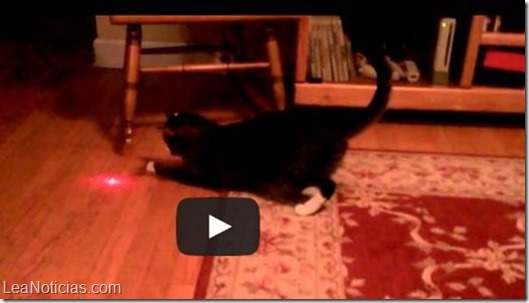 gato laser