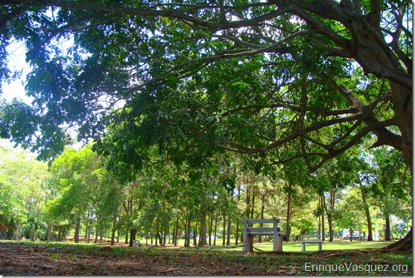 parque-andres-bello-panama