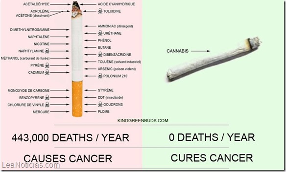 marihuana vs cigarro