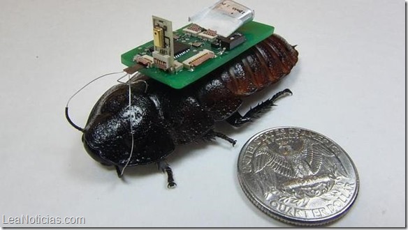 cucaracha-cyborg-estudio--644x362