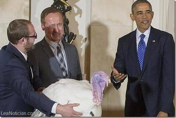 obama indulto pavo cheese