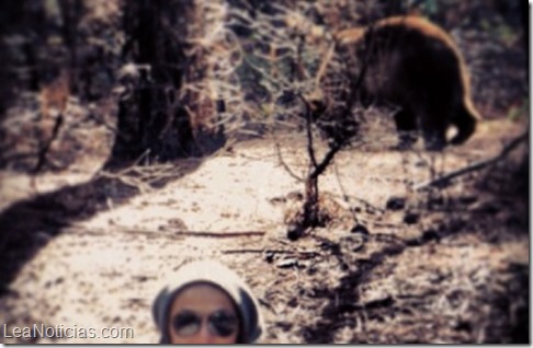 selfies con osos 1