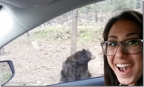 selfies con osos 1