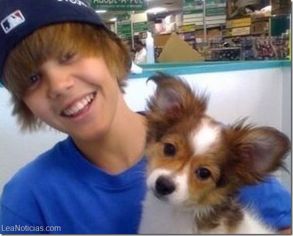 Twitter-muerte-perro-Justin-Bieber_