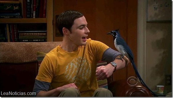 sheldon-pajaro-big-bang--644x362