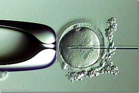 embriones-marido-fallecido--644x362