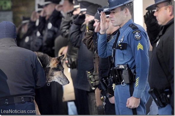 perro policia 2