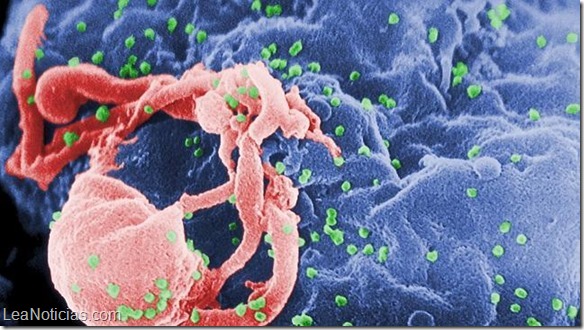 VIH-celula--644x362