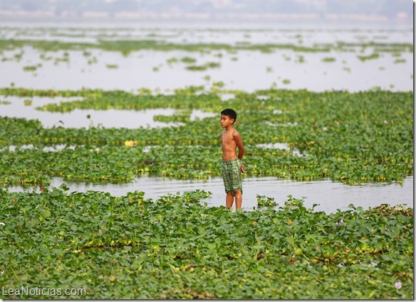 MYANMAR-ODDLY/