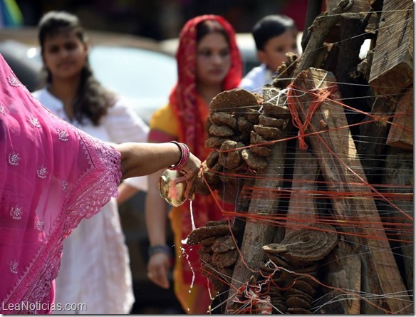 india holi 4