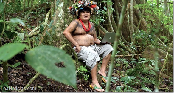 jefe indigena proyecto siembra de arboles 1