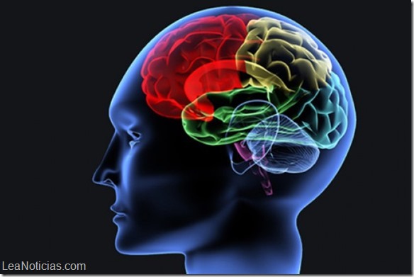 Claves para mantener el cerebro joven