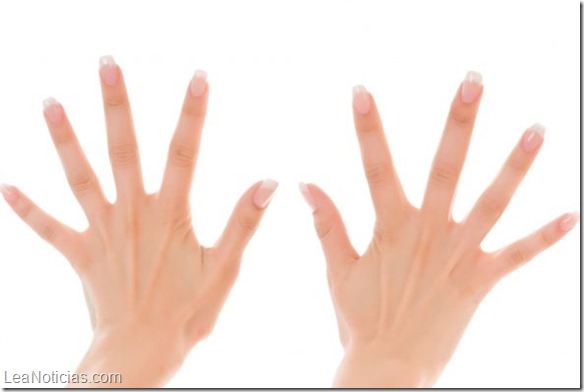 dedos de la mano