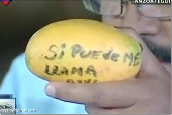 mango a madurio